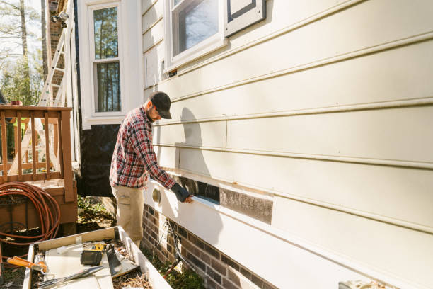 Top rated local Siding Replacement specialists in Saint Leo, FL
